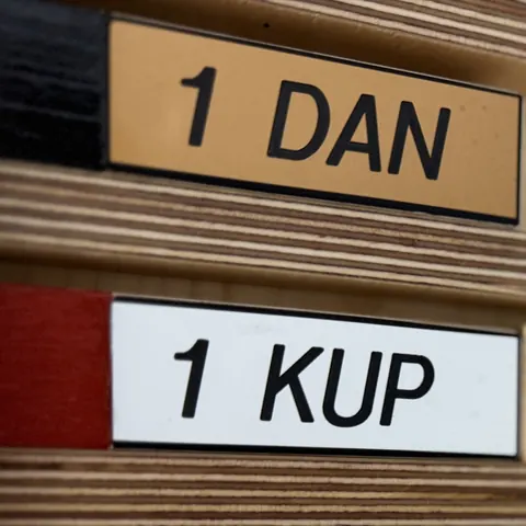 Ausschnitt einer Holzwand mit Gürtel-Schildern: oben 1 Dan mit schwarzem Farbstreifen, darunter 1 Kup mit rotem Farbstreifen